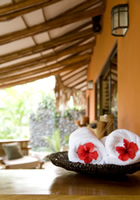 Spa & Salon Services